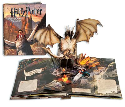 Harry Potter A Pop Up Book by Andrew Williamson and Lucy Kee Hardback